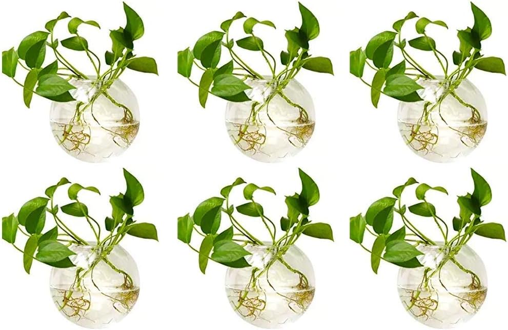 Imagen de B07HCWZ811