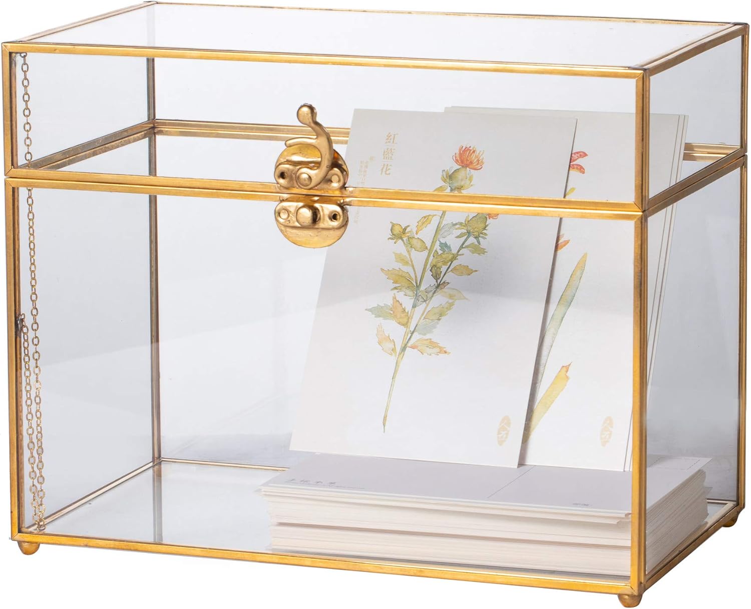 Imagen de referencia del artículo