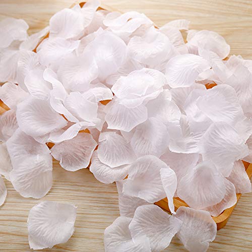 Imagen de B07R1LVXV4