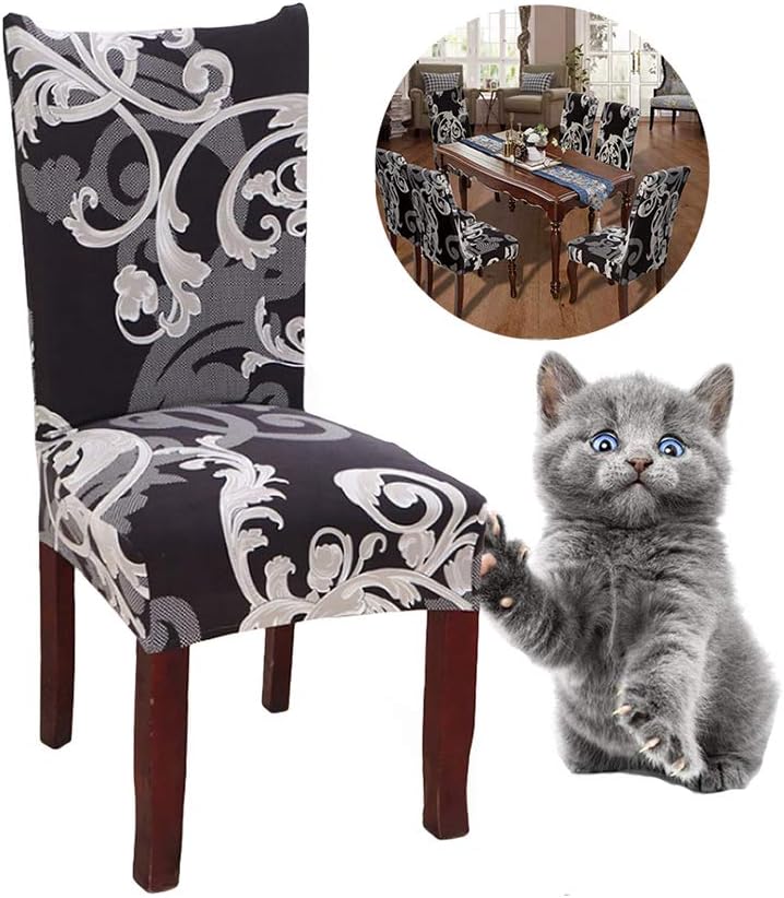 Imagen de B07RPLR95J