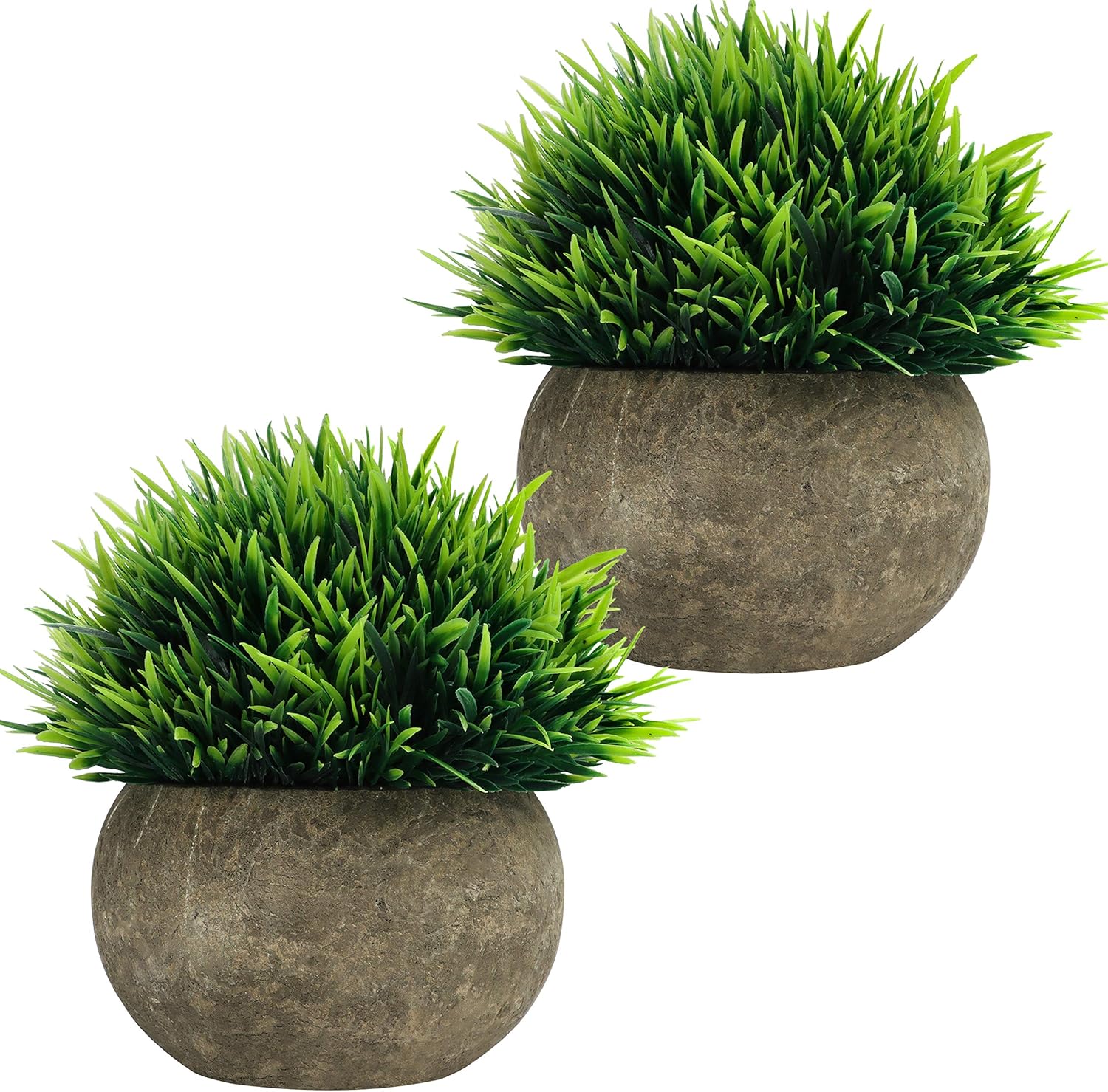 Imagen de referencia del artículo