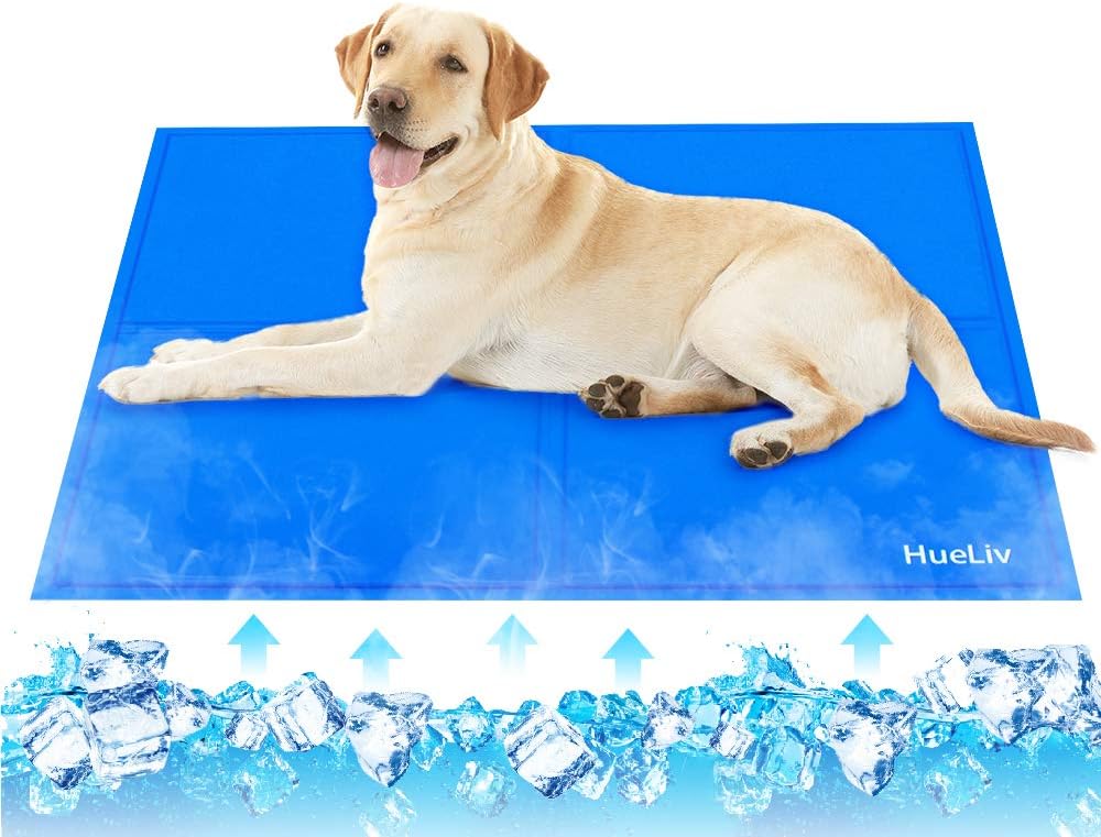 Imagen de B084SDN99Y