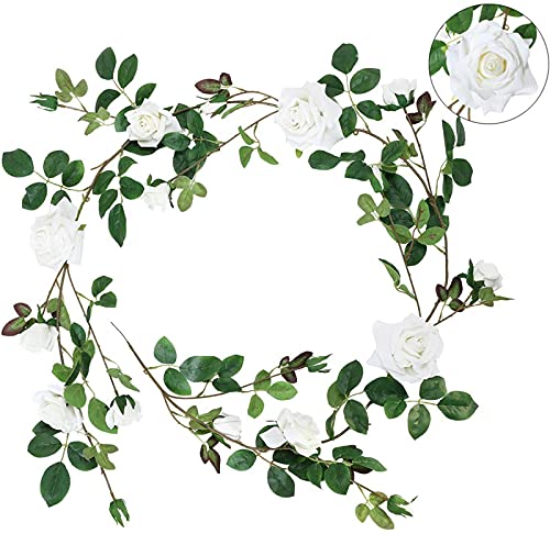 Imagen de B085T3GTJR