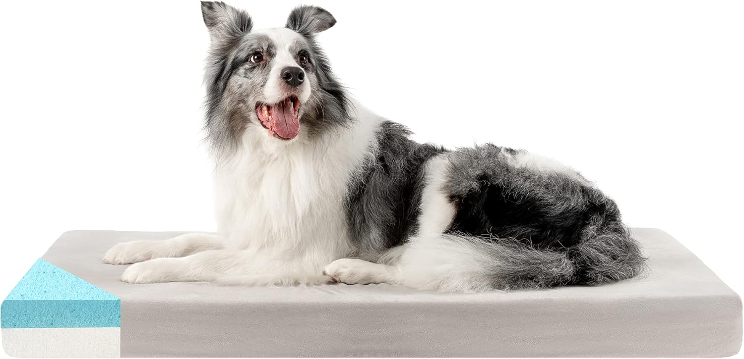 Imagen de B089KJQBMN