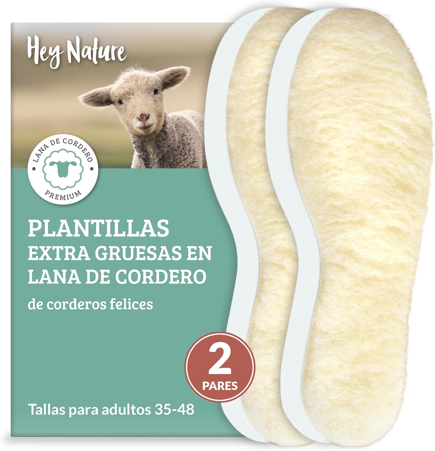 Imagen de referencia del artículo