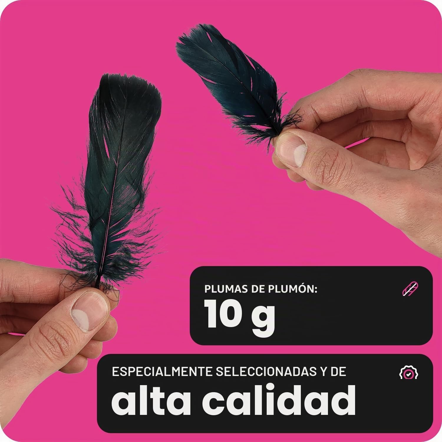 Imagen de referencia del artículo