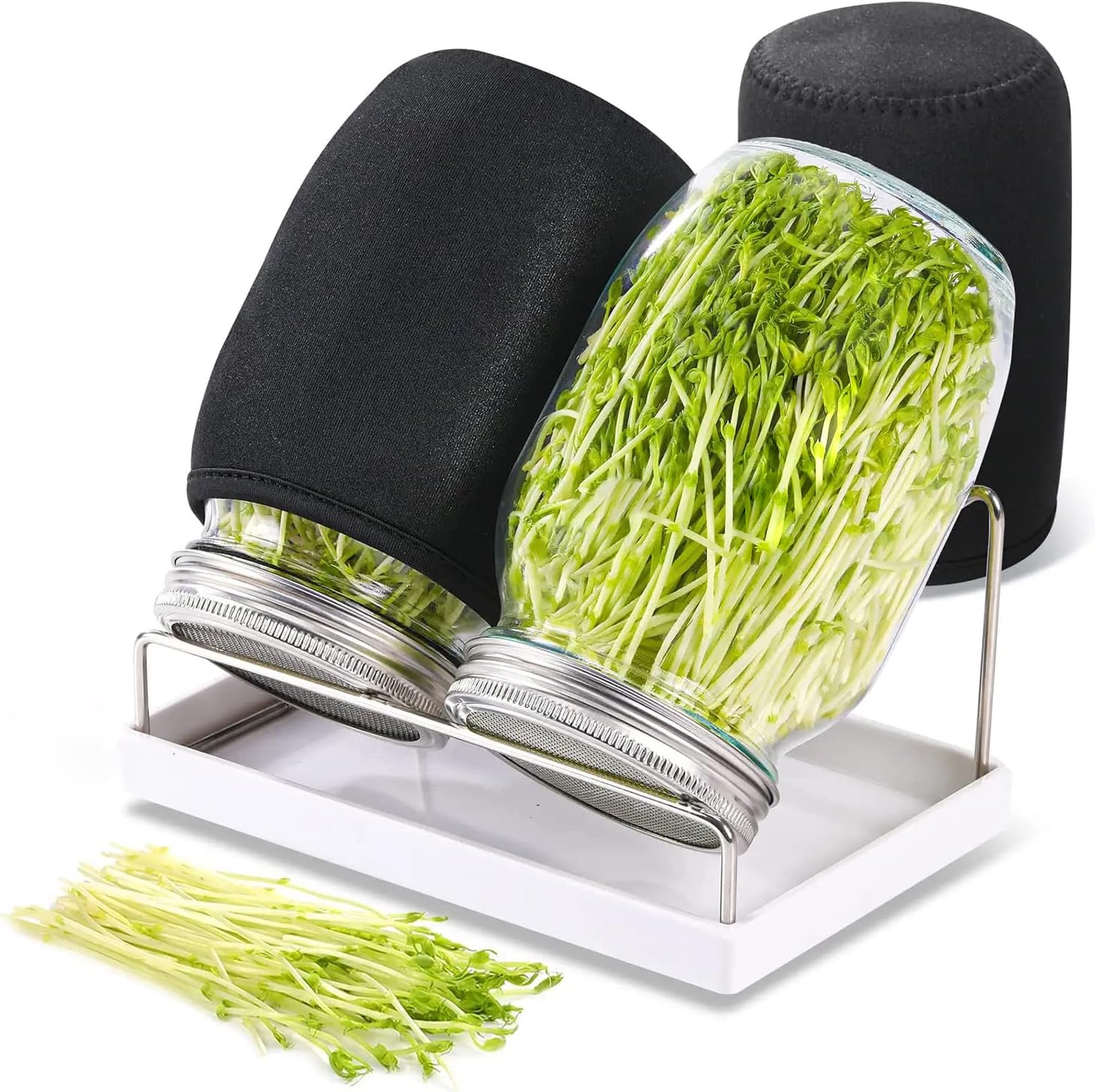 Imagen de referencia del artículo