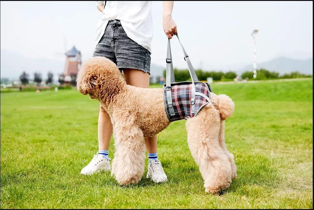 Imagen de B0BMN3RK7H