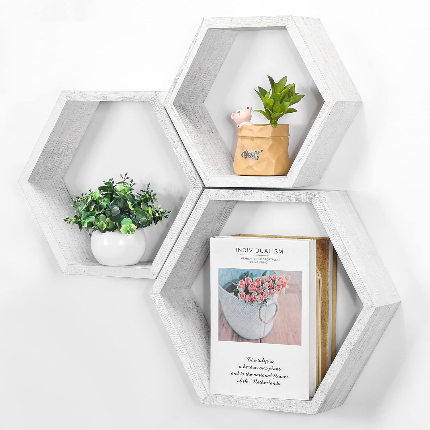 Imagen de B0BP9XQWNP