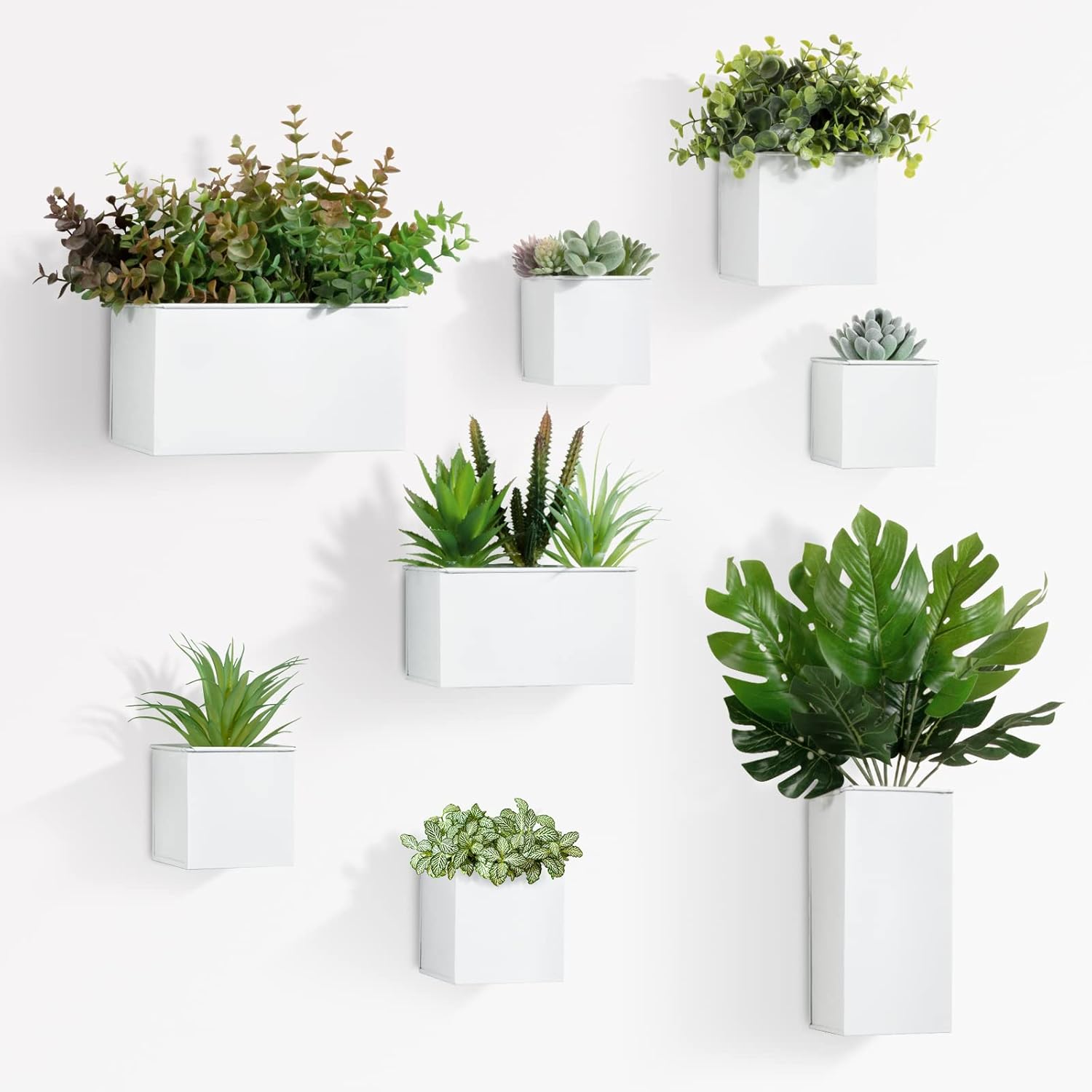 Imagen de B0BV6G79GB