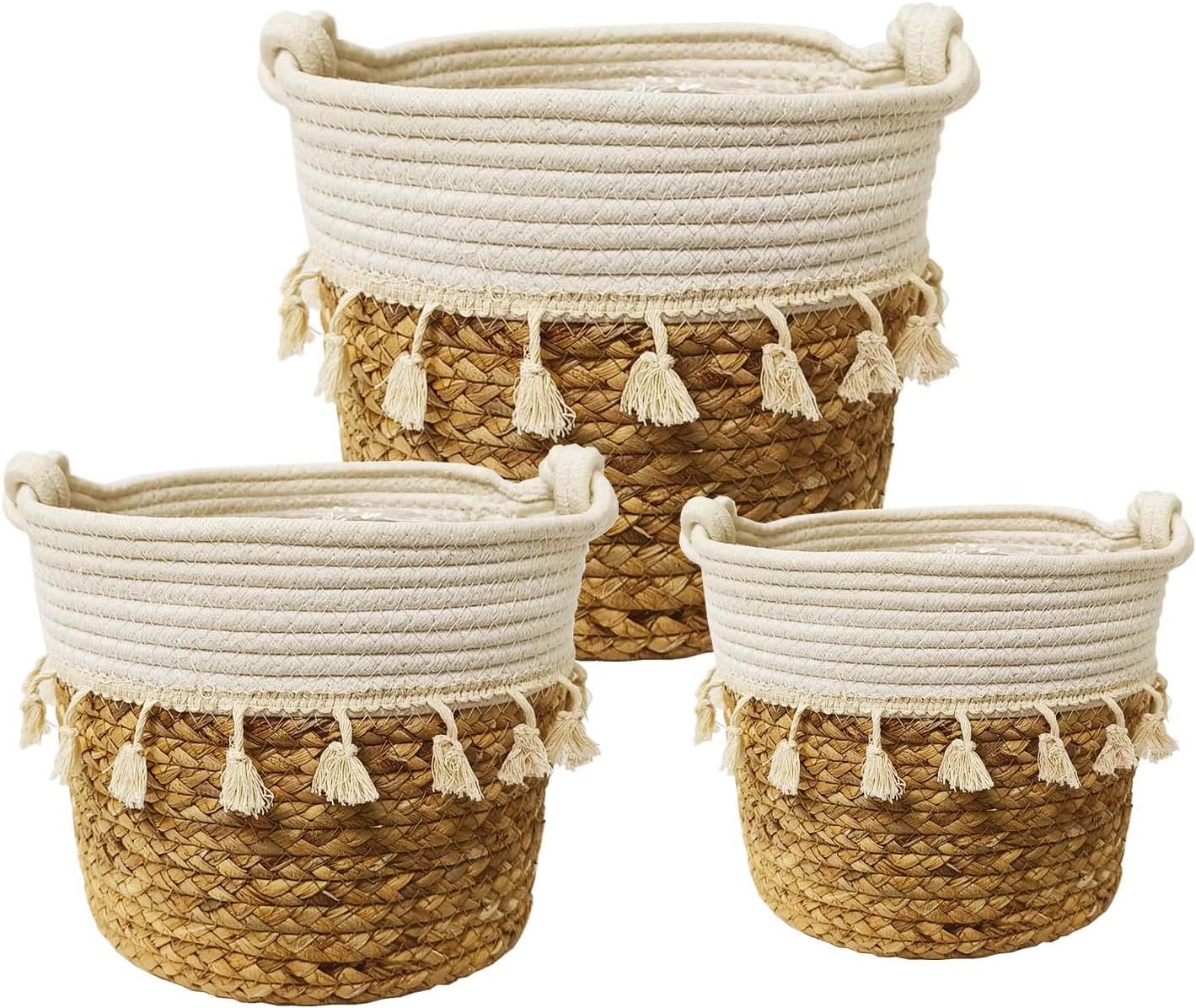 Imagen de B0BVG1V6FW