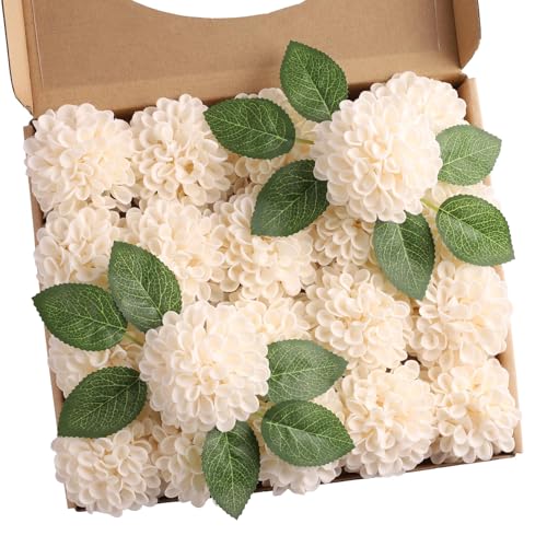 Imagen de B0C12ZX1WX