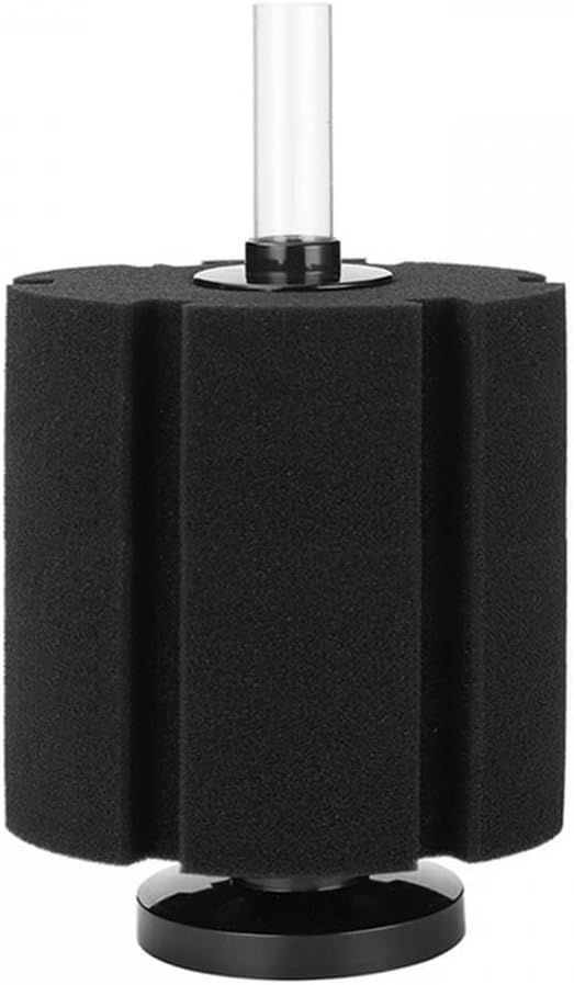 Imagen de referencia del artículo