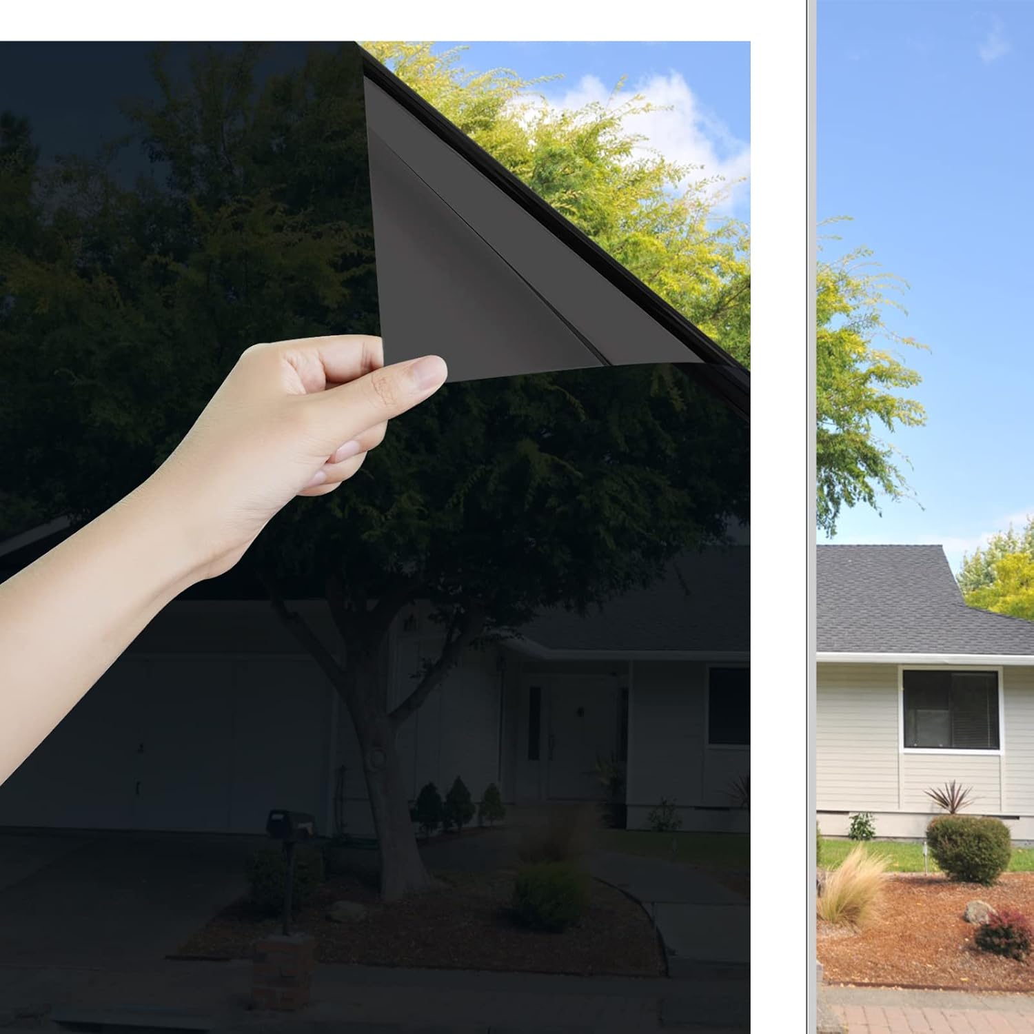 Imagen de B0C7C6HYW2