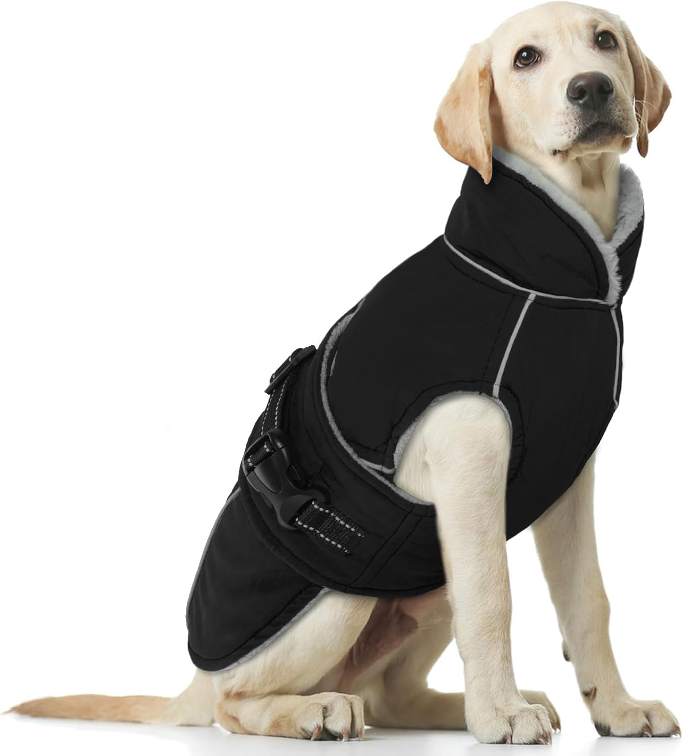 Imagen de B0C7KRD36Y