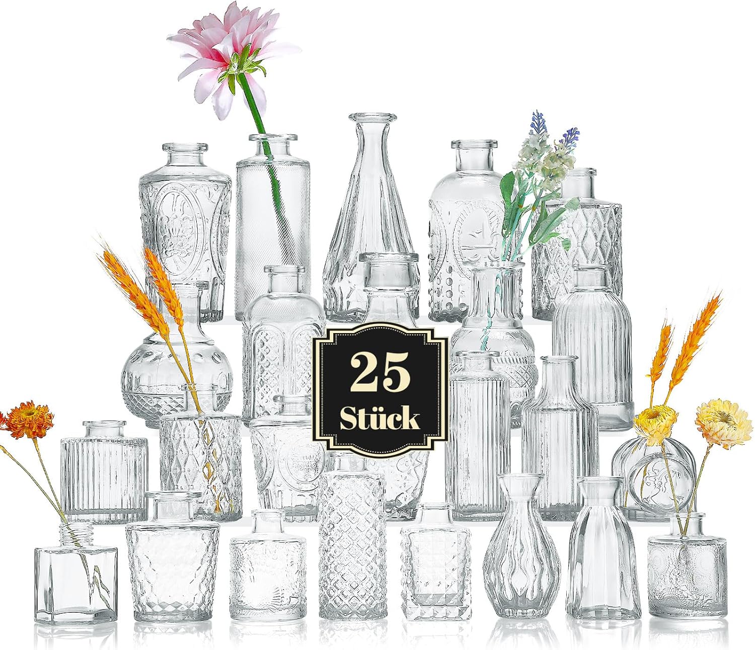 Imagen de B0CD7JB91Q