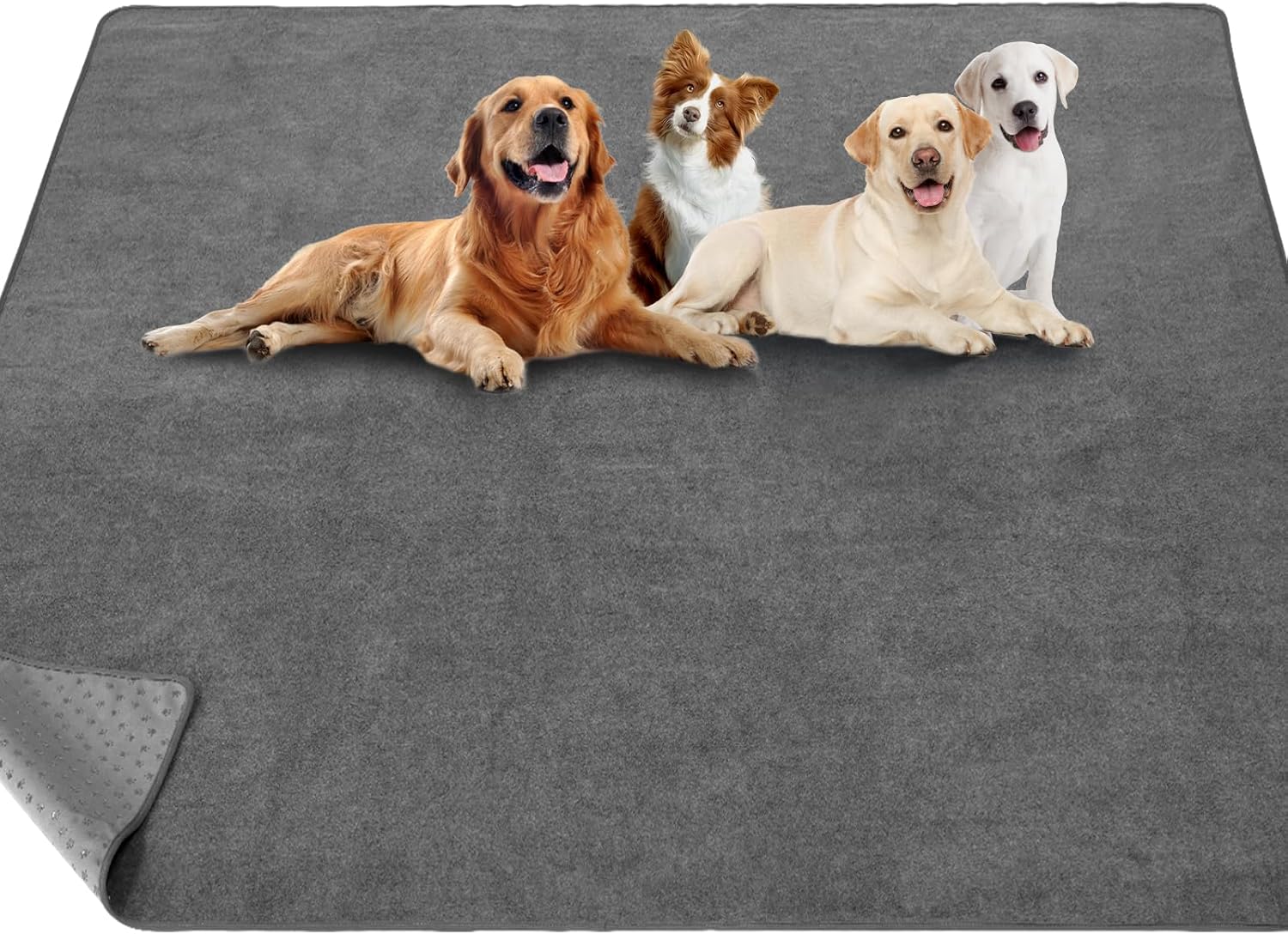 Imagen de B0CDWC2C75