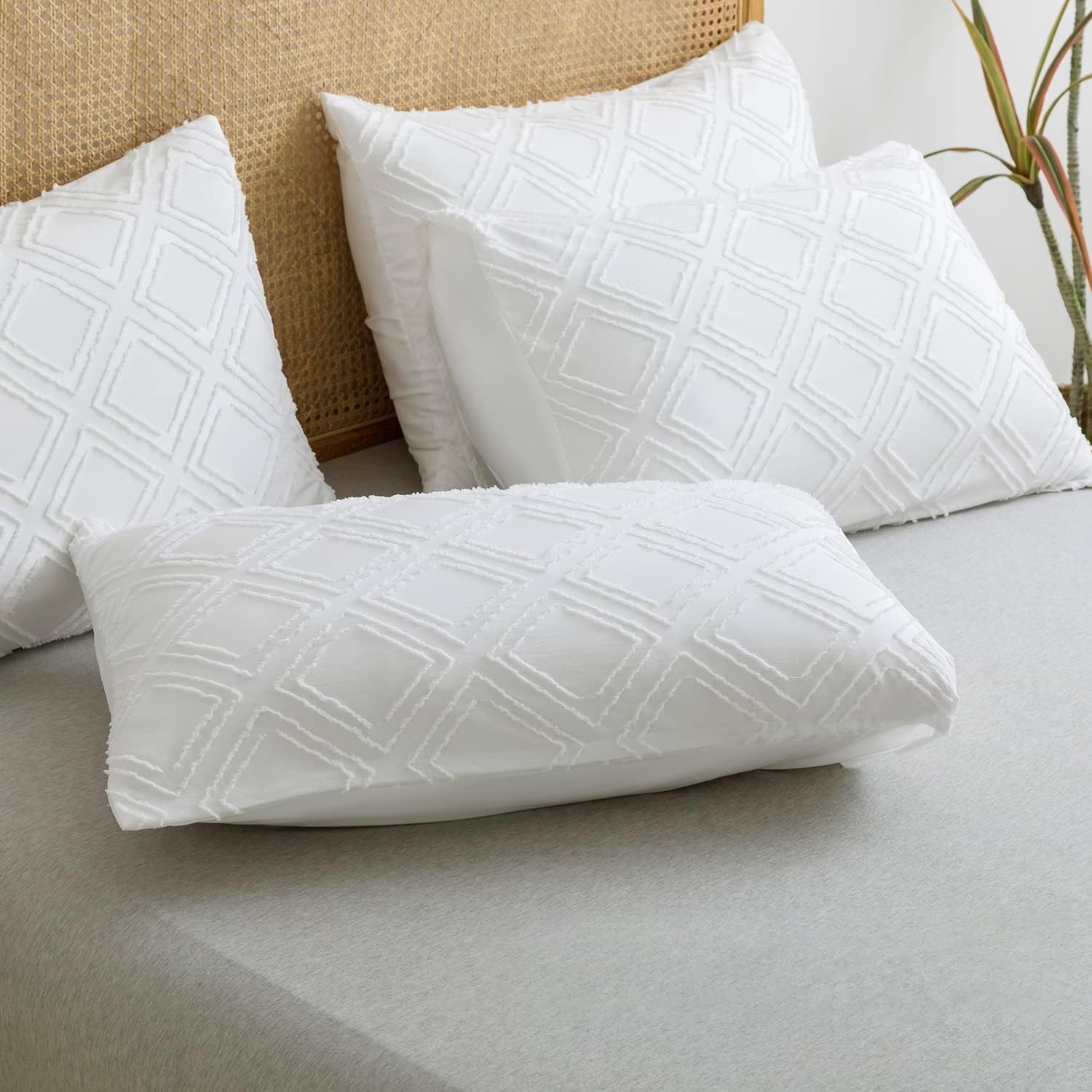 Imagen de B0CFWWG3CX