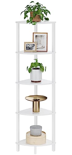 Imagen de B0CG6TT49B