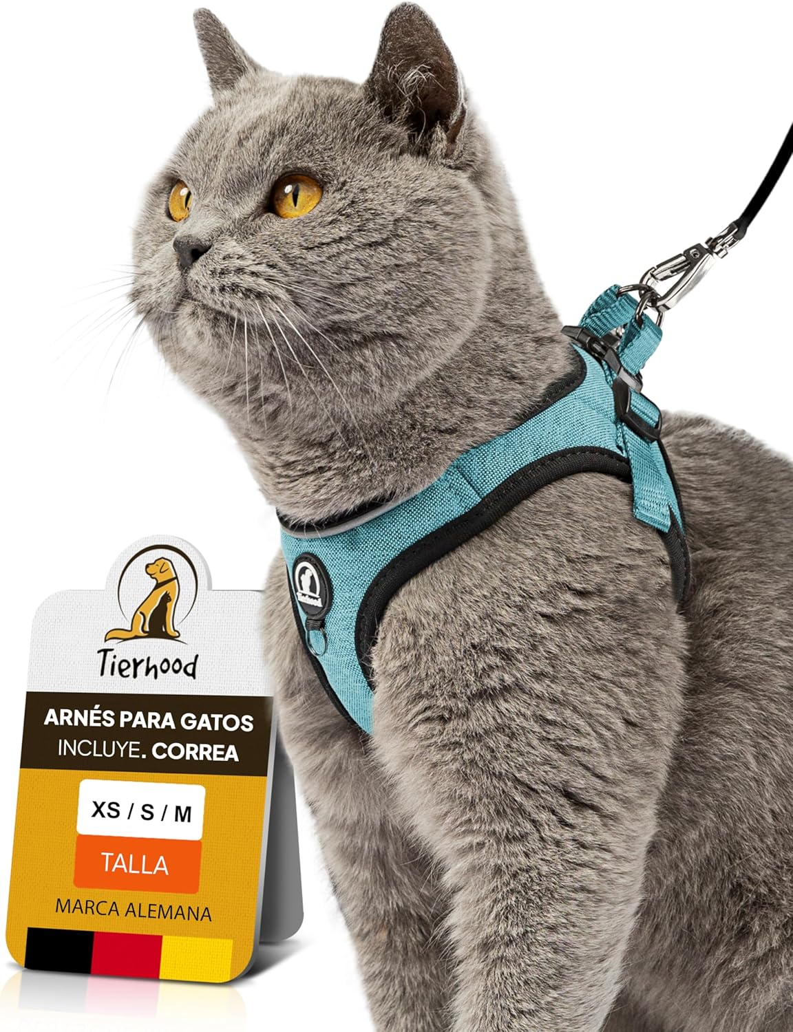 Imagen de referencia del artículo