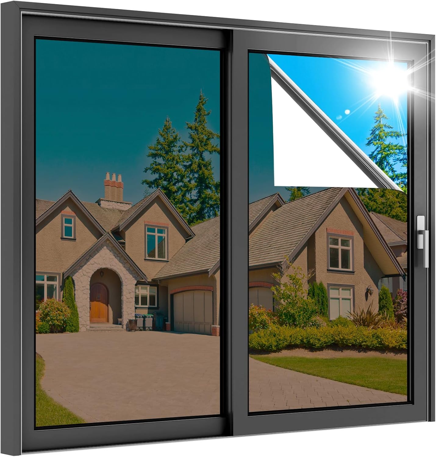 Imagen de referencia del artículo