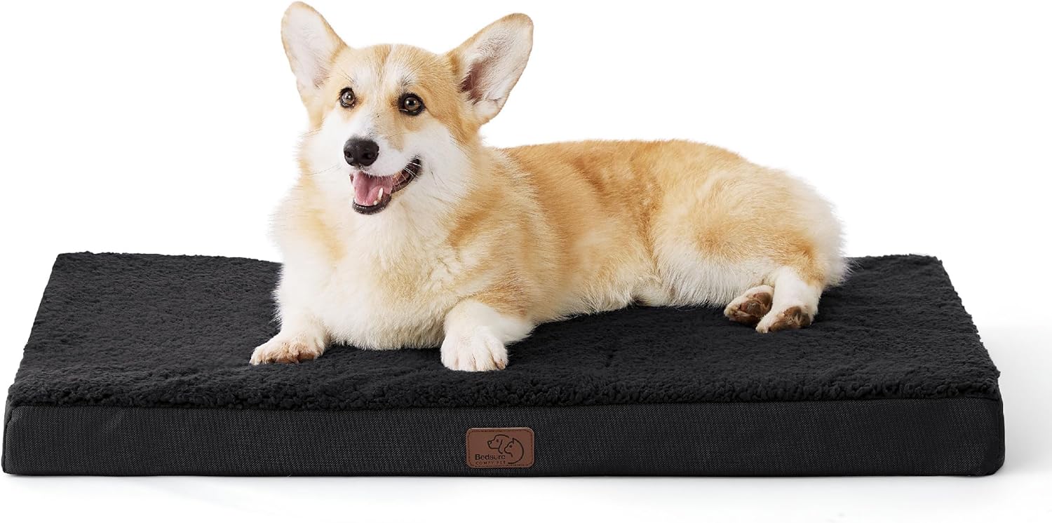 Imagen de B0CNTPQ28F