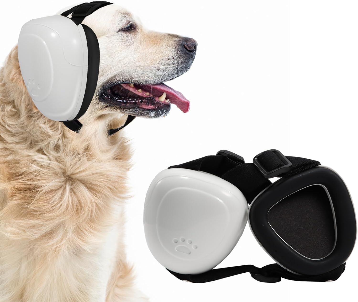 Imagen de B0CPXRBF22