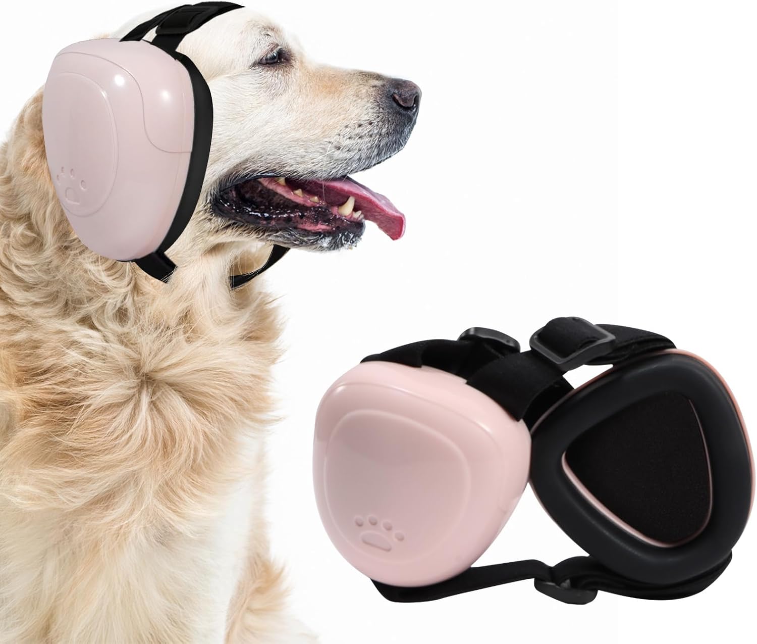 Imagen de B0CPXRVKPN