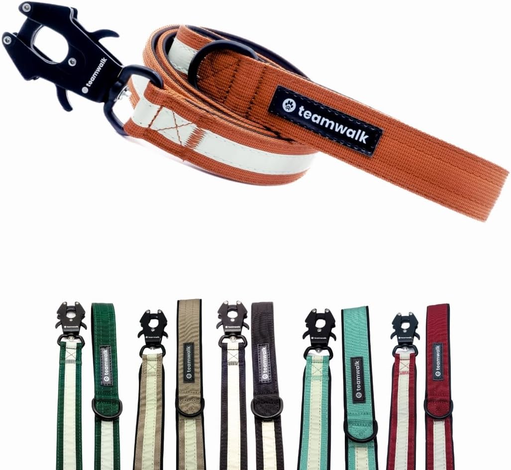 Imagen de B0CQHTGZNG