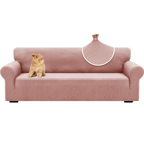 Imagen de B0CQQDVD1Z