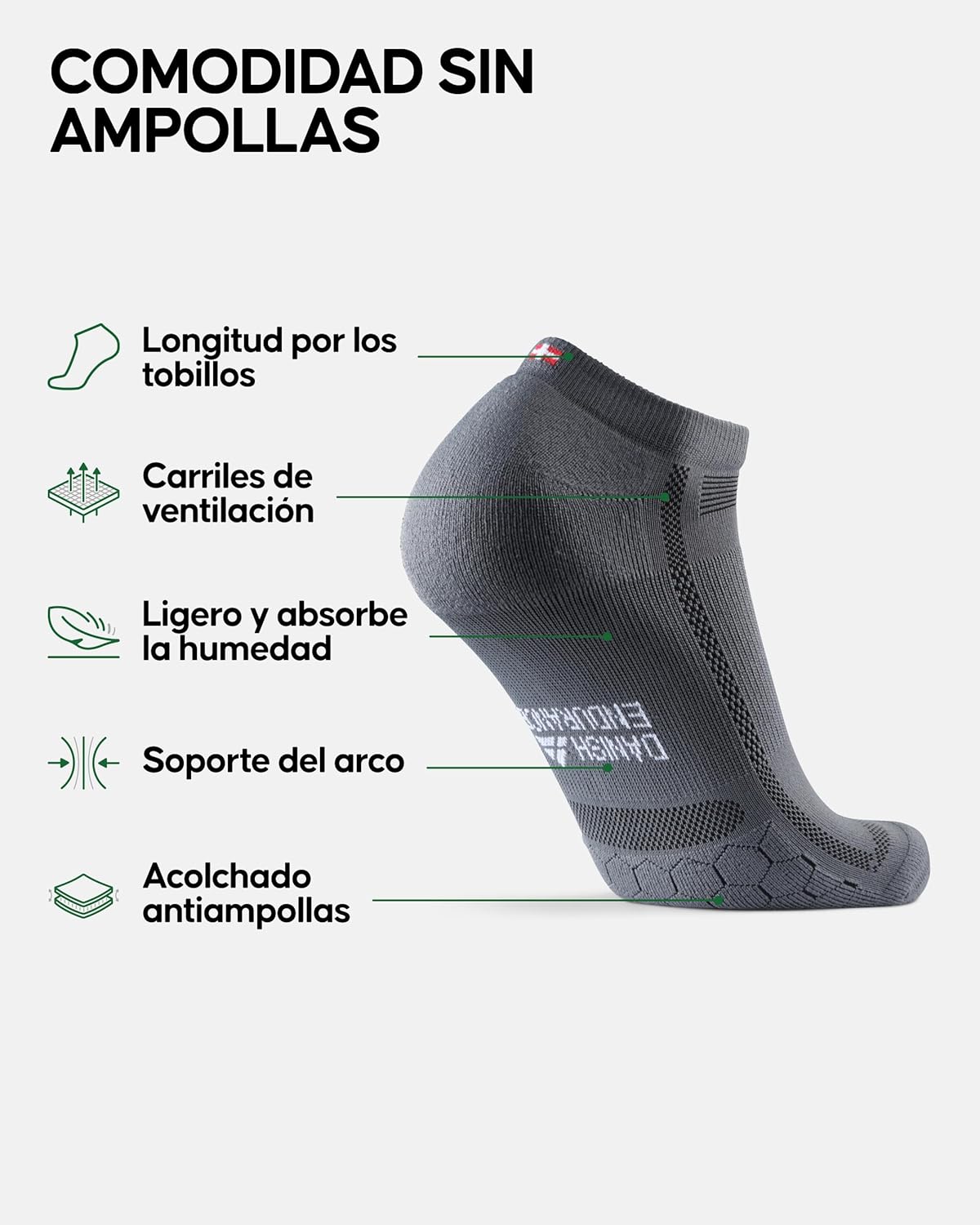 Imagen de referencia del artículo