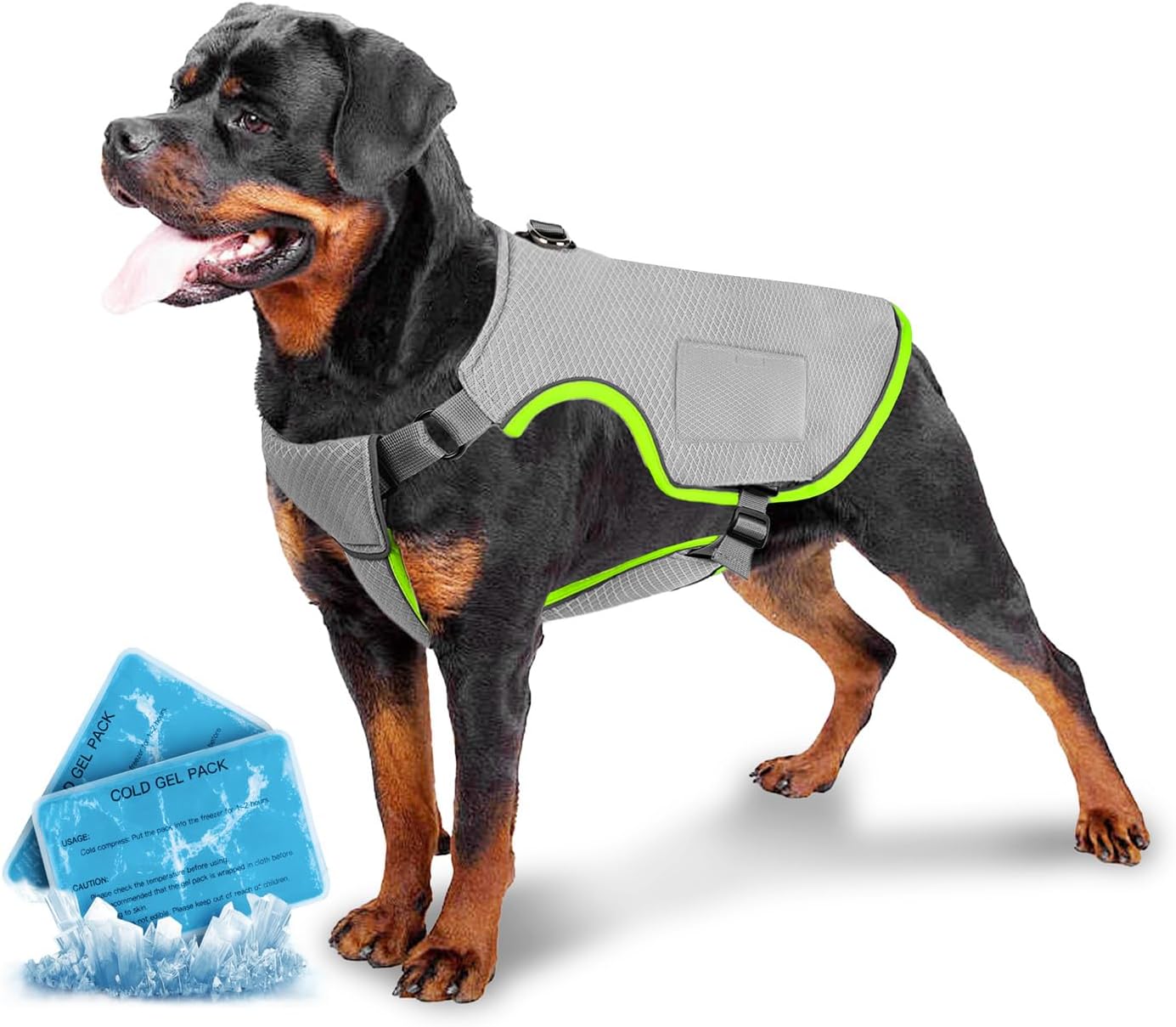 Imagen de B0CXT11WZL