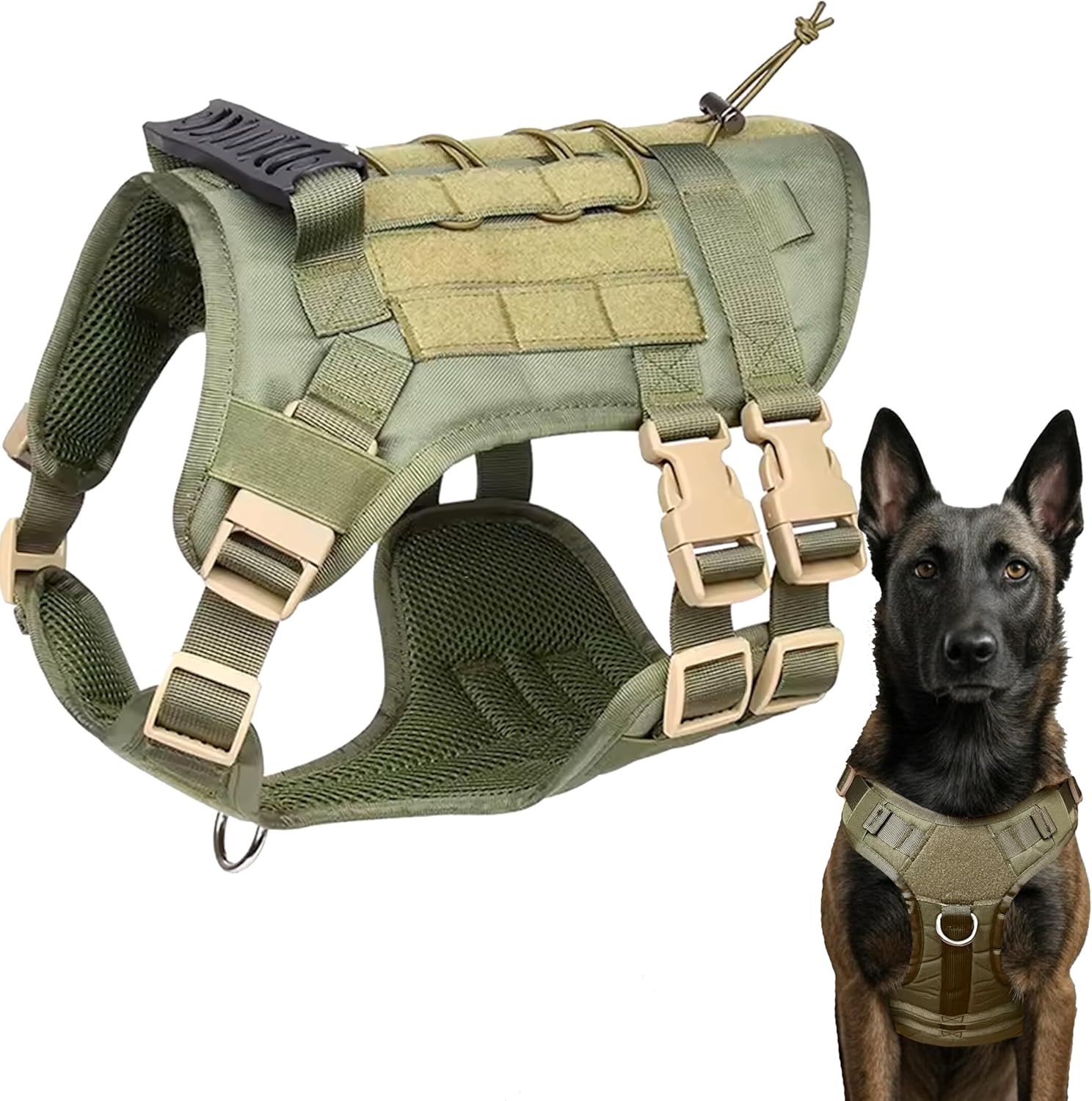 Imagen de B0CYQXWF8J