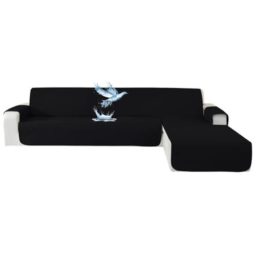 Imagen de B0D2QJGKSS