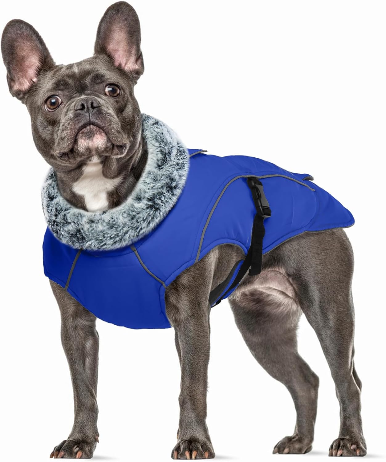 Imagen de B0D2XTBWYR