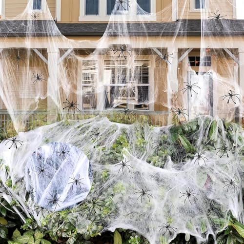 Imagen de B0D479Z99M