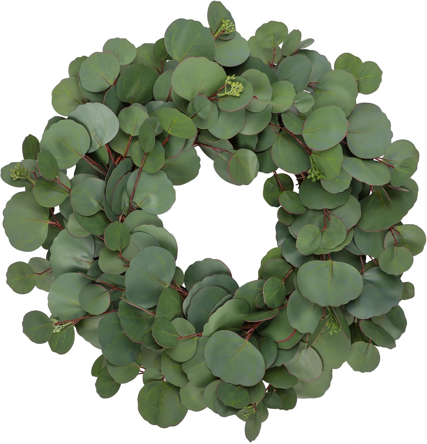 Imagen de B0D59ZP827