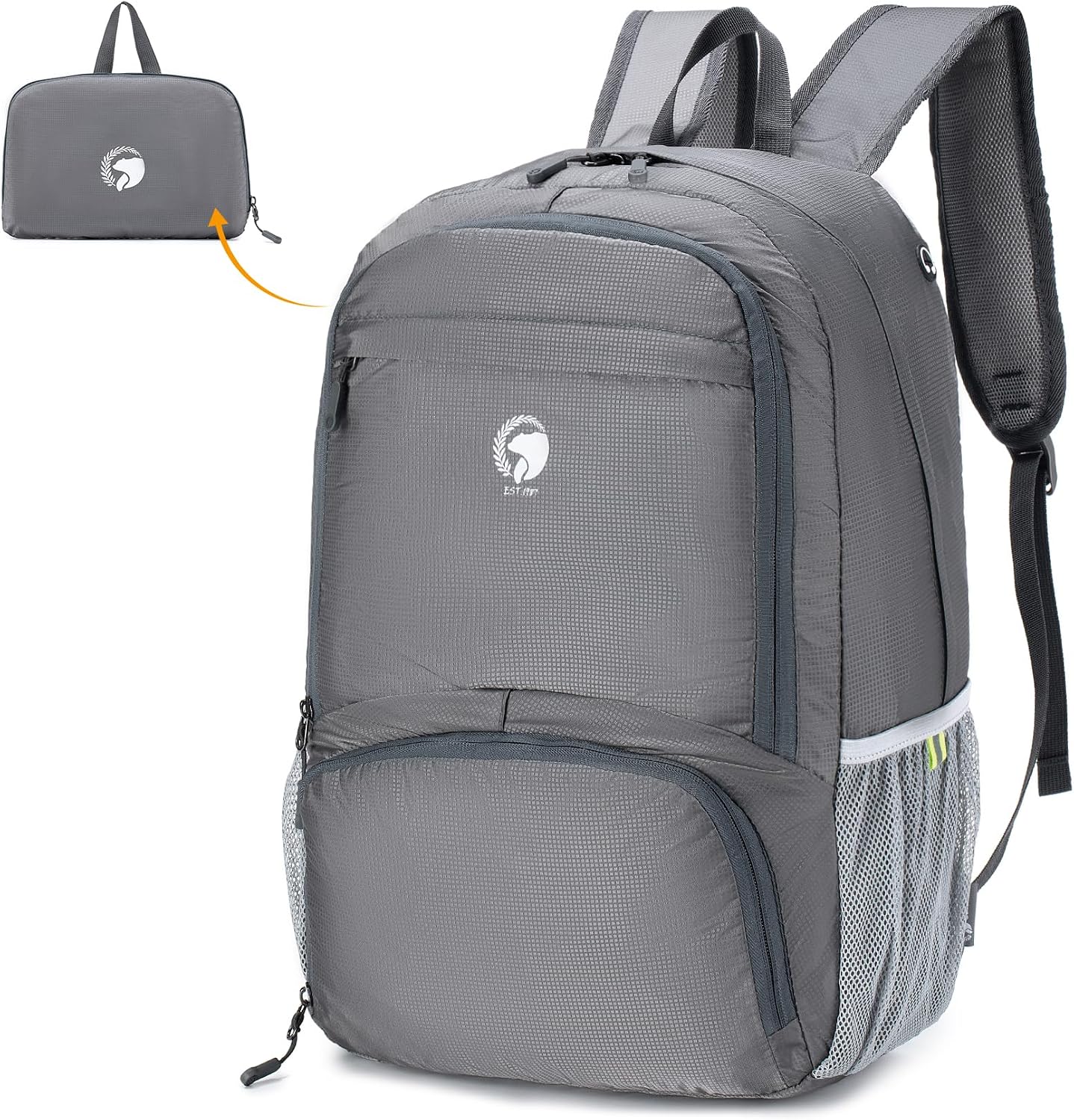 Imagen de referencia del artículo