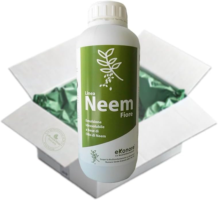 Imagen de B0DBHZNLH2