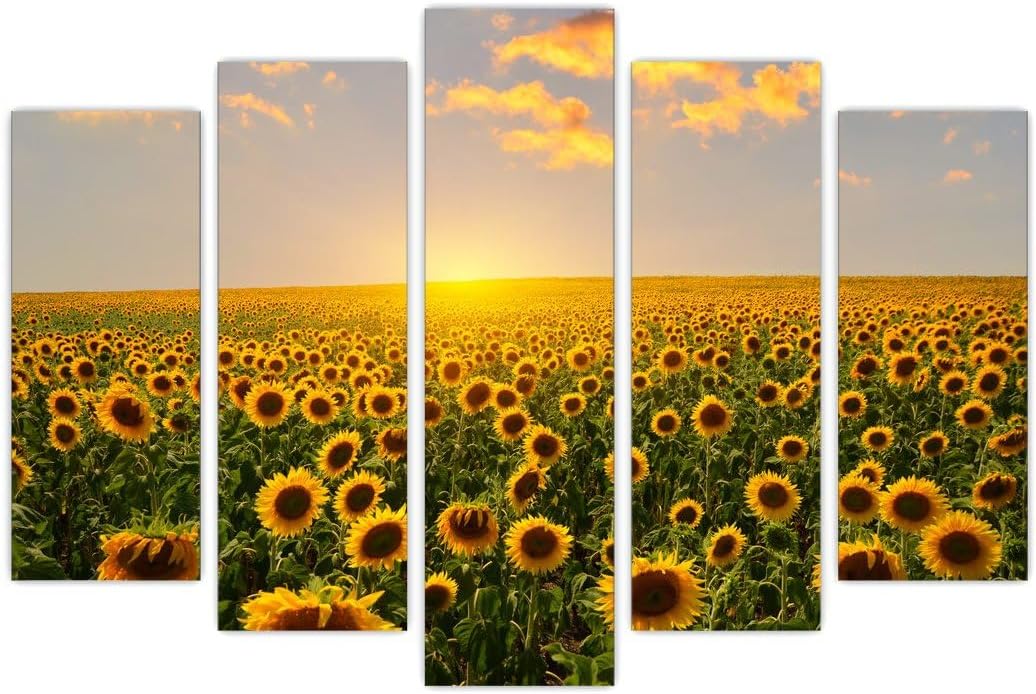 Imagen de B0DC4BW9TT