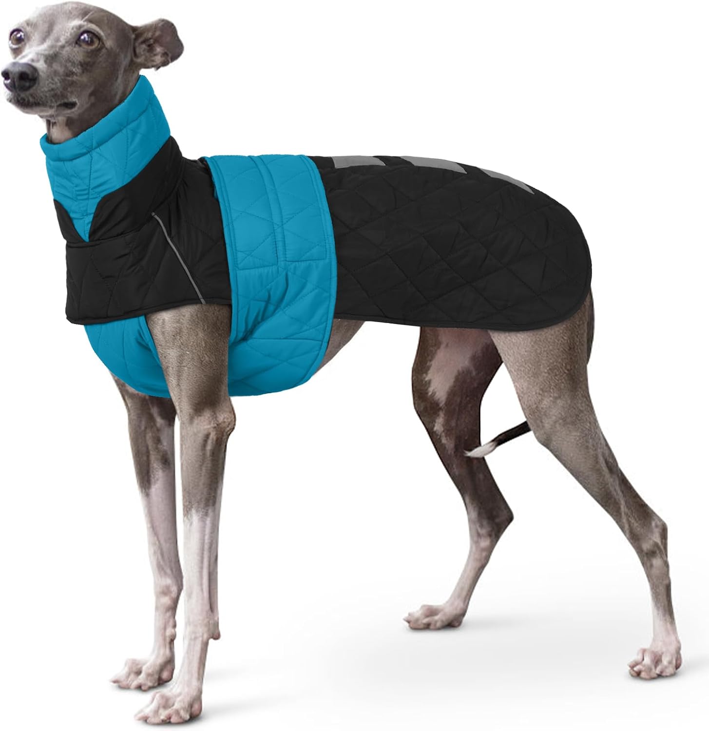 Imagen de B0DCBNWDSH