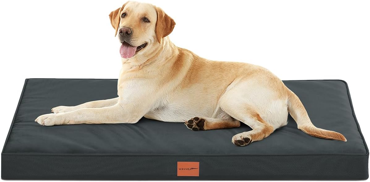 Imagen de B0DCJKCTT7