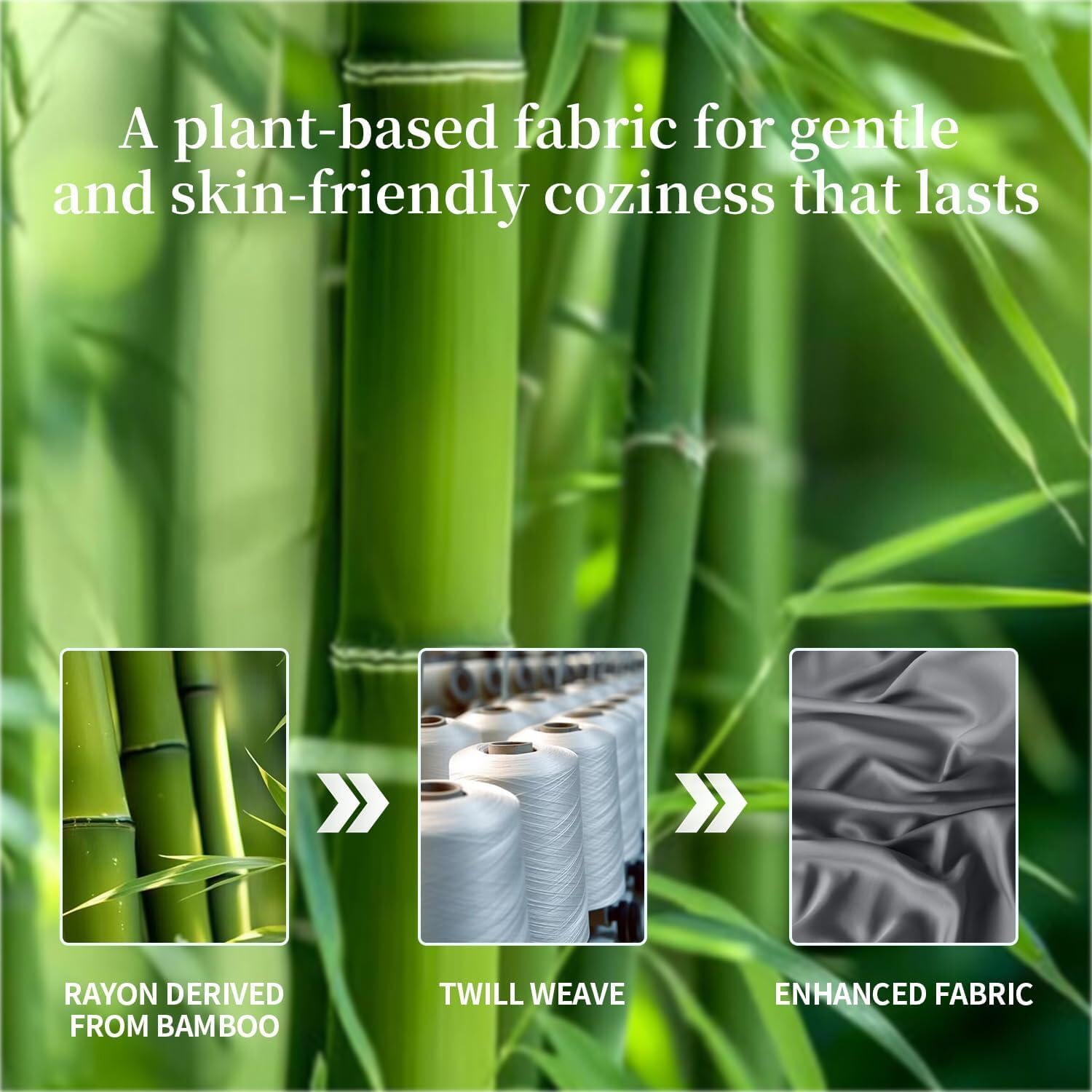 Imagen de B0DRJF69Q3