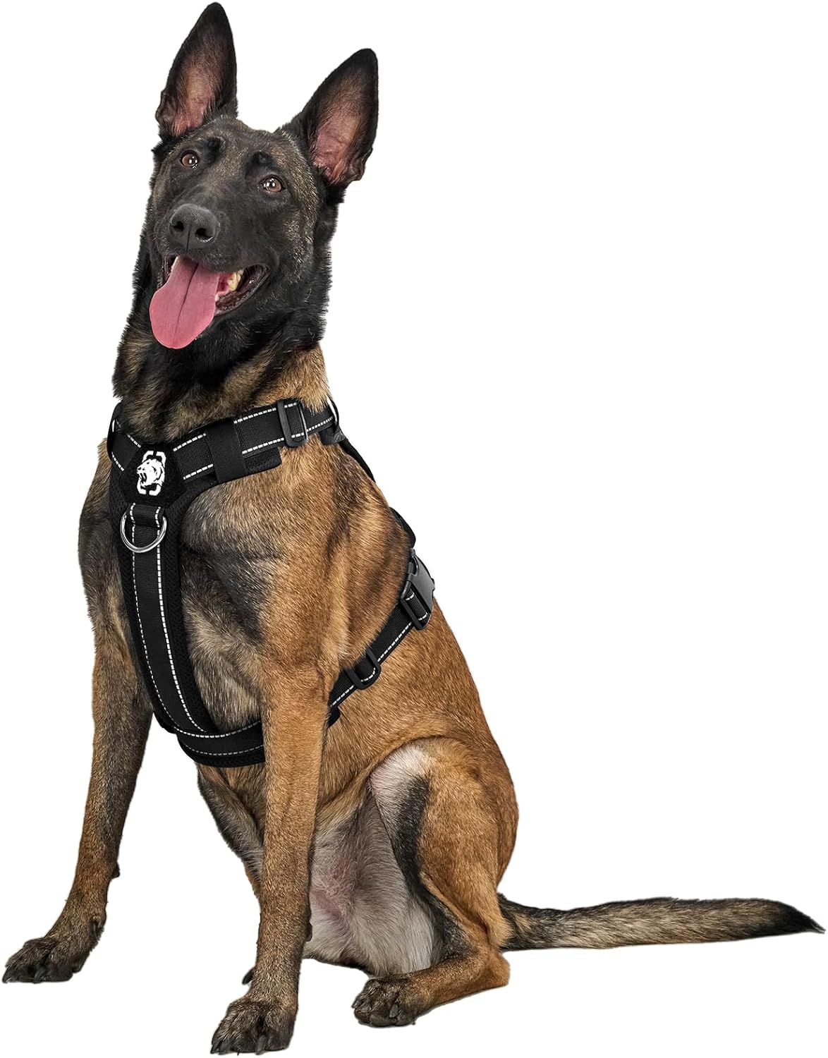 Imagen de B0DWMBXQPK