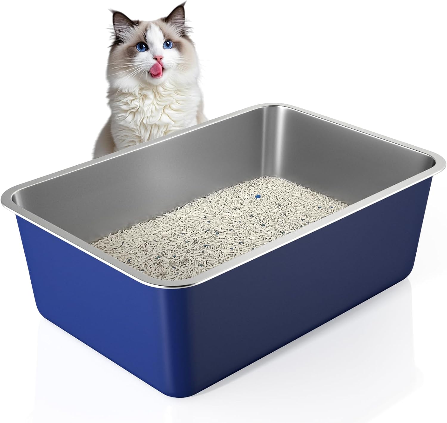 Imagen de B0DXTTPLX6