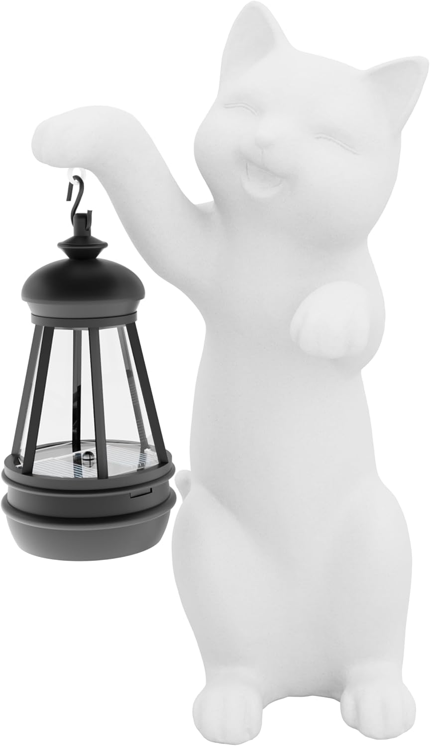 Imagen de B0DYDMSHVL