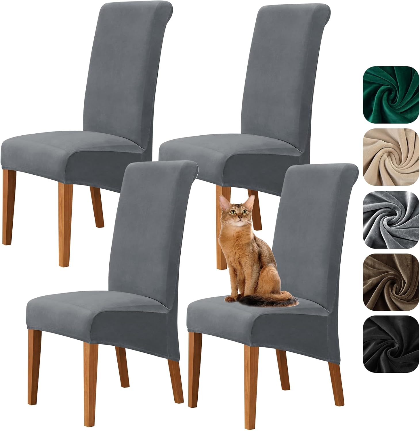 Imagen de B0DYTYC8FX