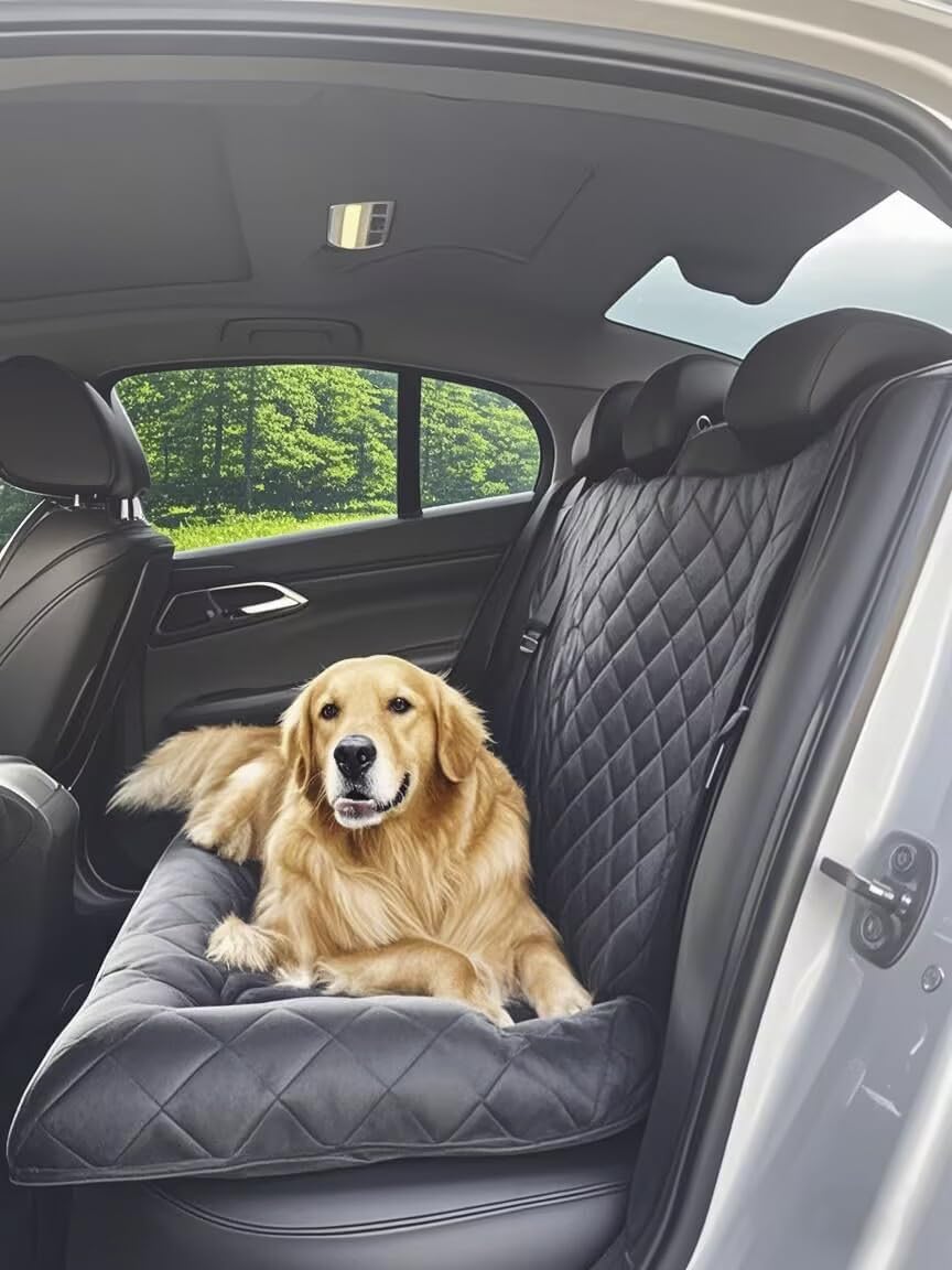 Imagen de B0F1TPCK3V