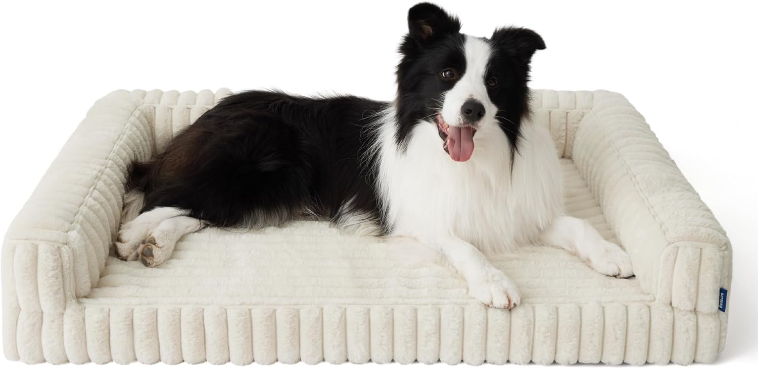 Imagen de B0F4XF32S3