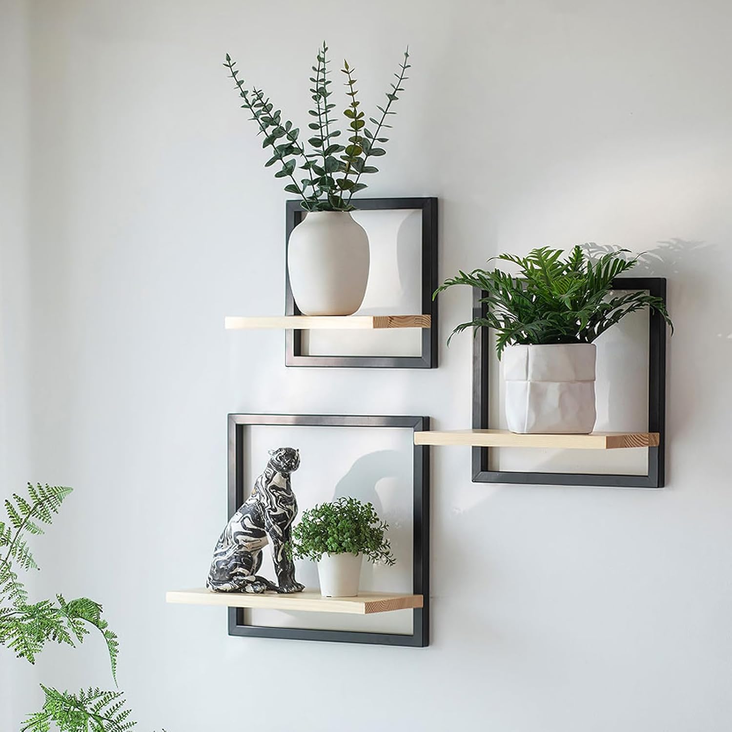 Imagen de B0F5WYZCCD